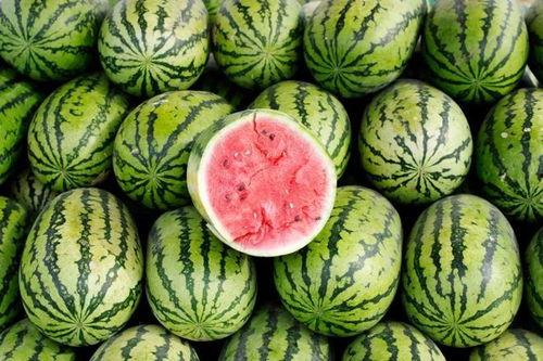 大瓜吃料网免费网页版,揭秘娱乐圈最新动态，畅享娱乐资讯盛宴  第1张